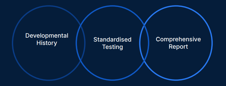 Visual process showing developmental history, standardised testing and comprehensive report